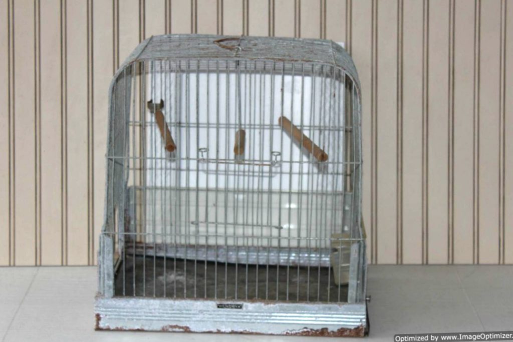 5 reasons I go picking out of town