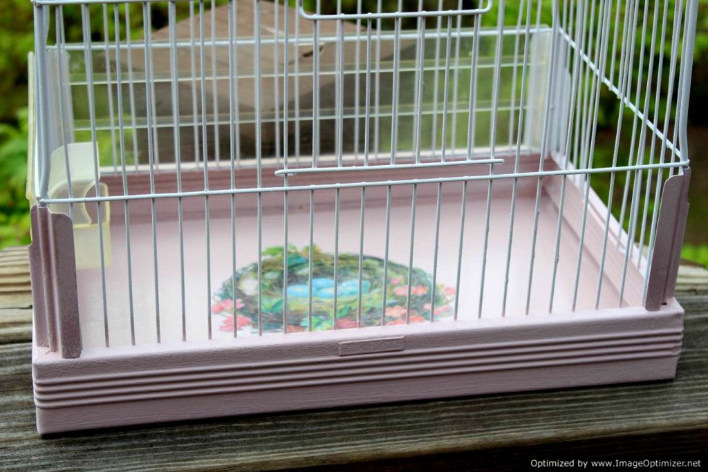 a vintage birdcage makes a beautiful easter or spring centerpiece