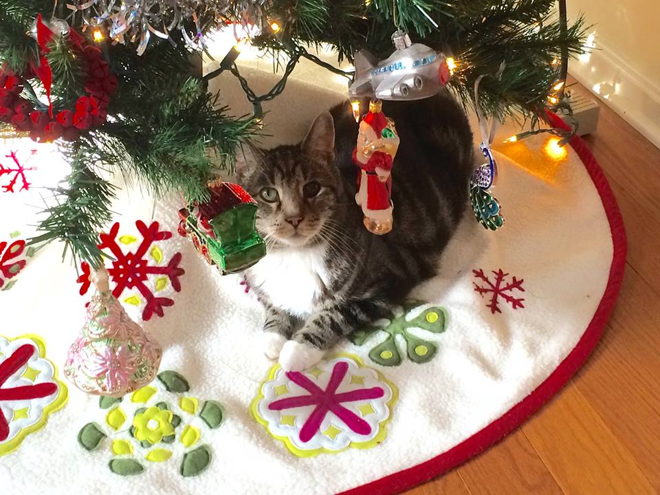 jelicas-feature-80th-sweet-inspiration-link-party