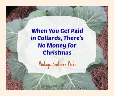 featured-image-for-when-you-get-paid-in-collards-theres-no-money-for-christmas